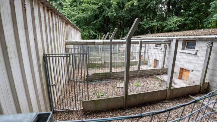 Hébergement animaux La Frénaye