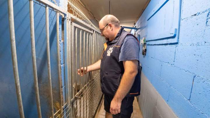 Services animaliers La Frénaye