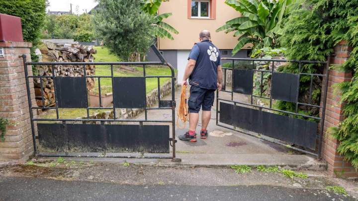 Éducateur chiens et chats La Frénaye