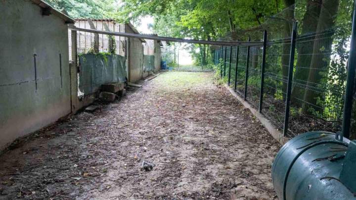 Domaine garde prolongée animaux La Frénaye