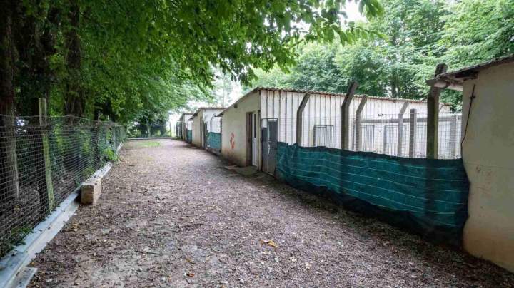 Pension éducative pour chiens et chats La Frénaye