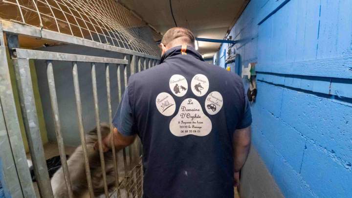 Éducateur canin La Frénaye