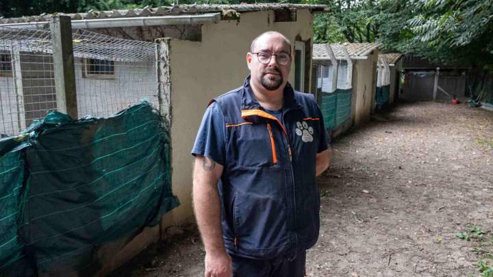 Professionnel garde et éducation canine et féline La Frénaye