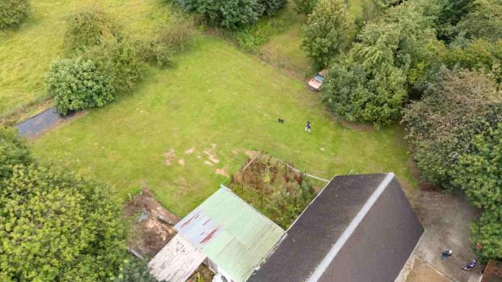 Pension chiens avec espaces verts La Frénaye