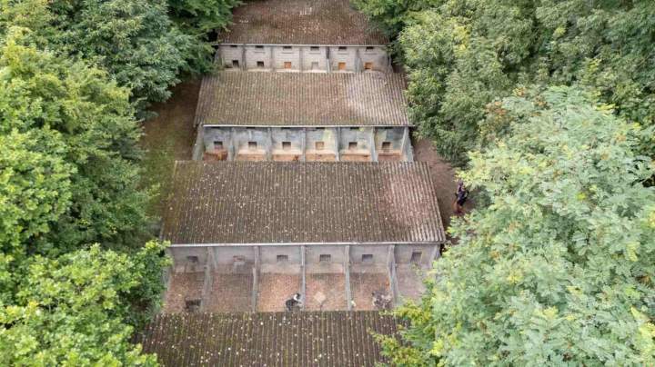 grande pension canine La Frénaye