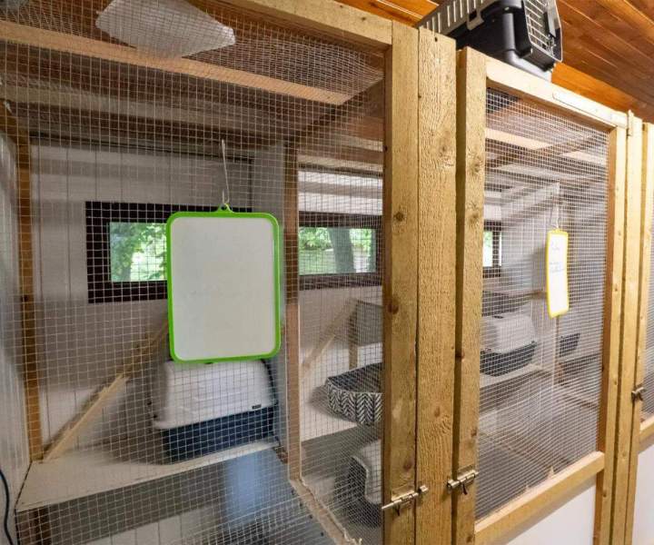 Transport animalier La Frénaye